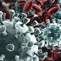 Covid-19 - Che cos'è il nuovo coronavirus